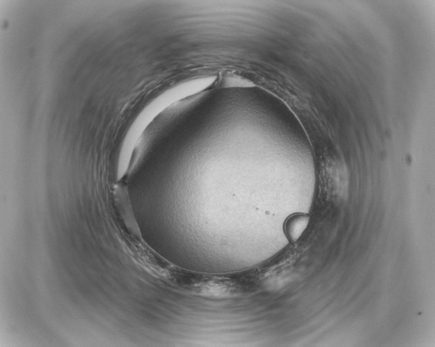 X0000087550412200705112126