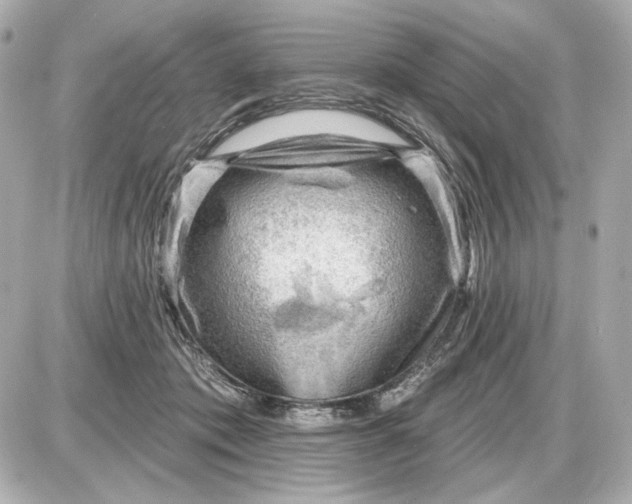 X0000087550413200705112126