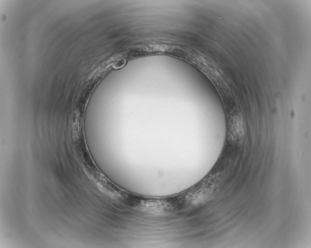 X0000087550414200705112126