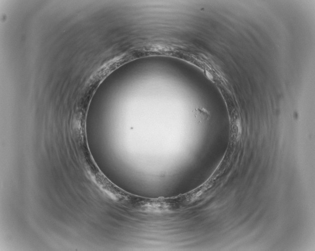 X0000087550415200705112126