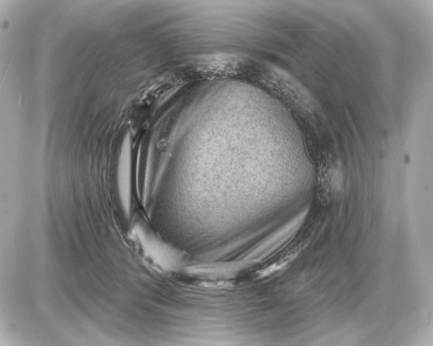 X0000087550416200705112126