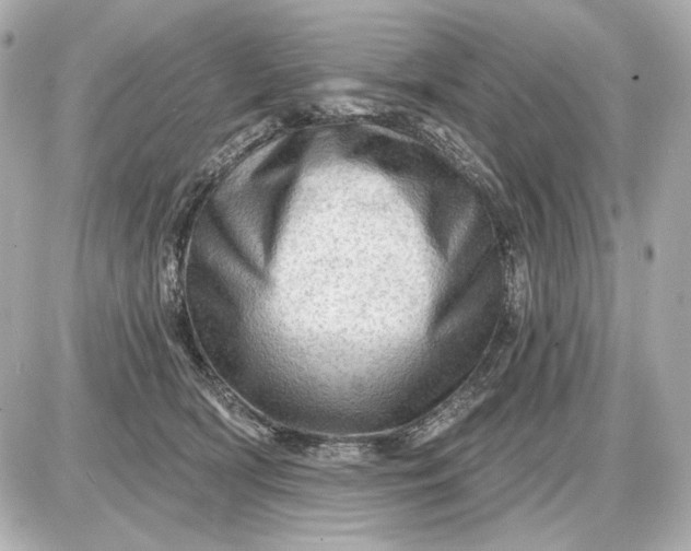 X0000087550418200705112126