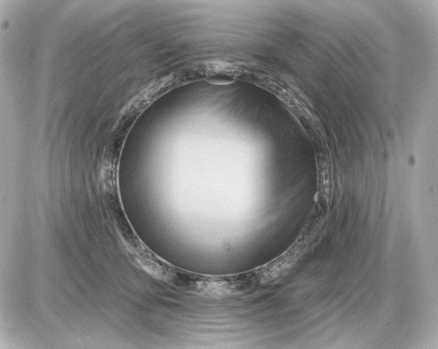 X0000087550419200705112126