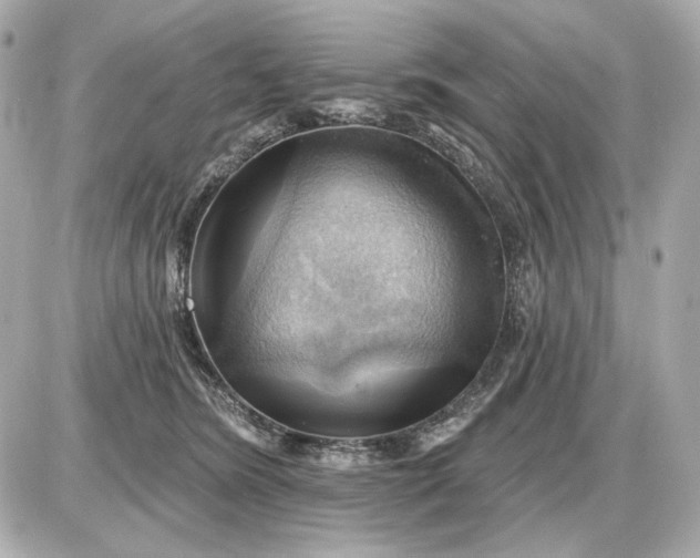 X0000087550420200705112126