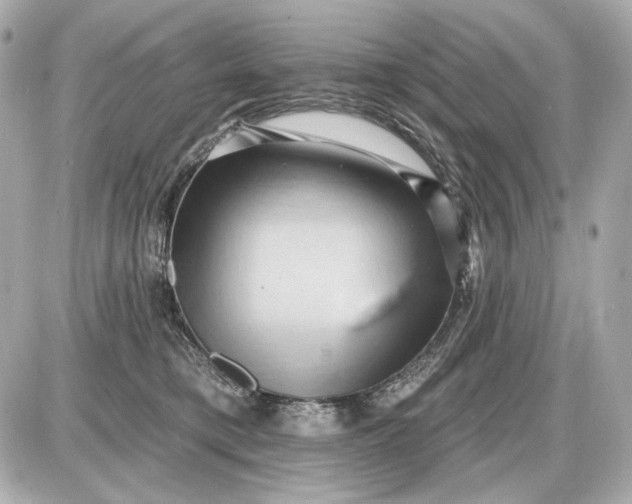 X0000087550421200705112126