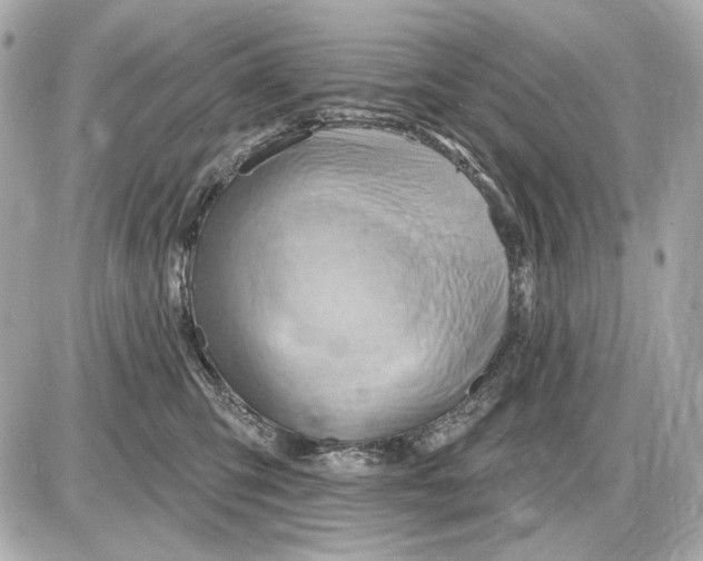 X0000087550423200705112126