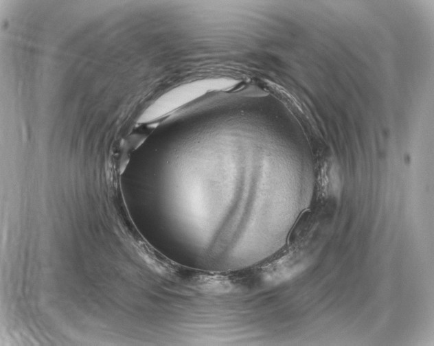 X0000087550424200705112126