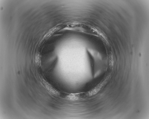 X0000087550425200705112126