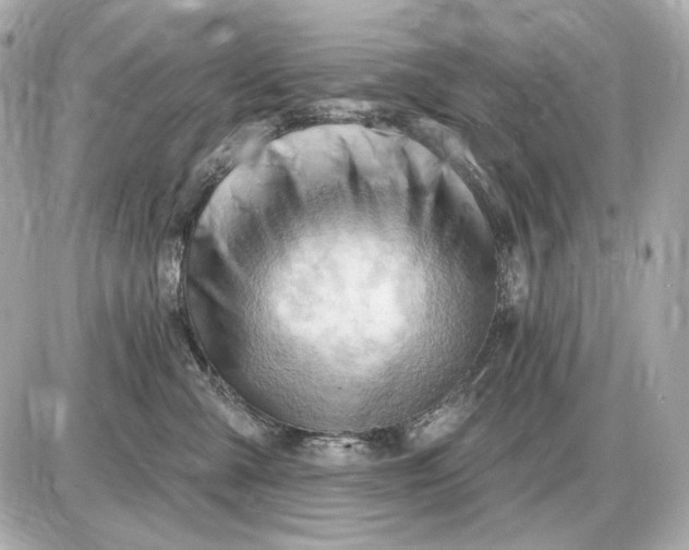 X0000087550427200705112126