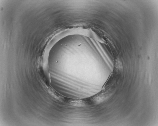 X0000087550428200705112126