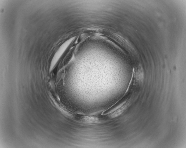 X0000087550429200705112126