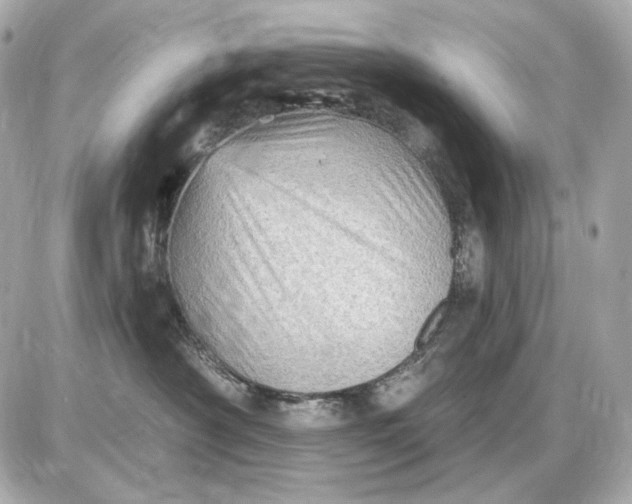 X0000087550430200705112126