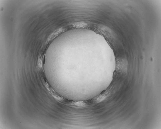 X0000087550431200705112126