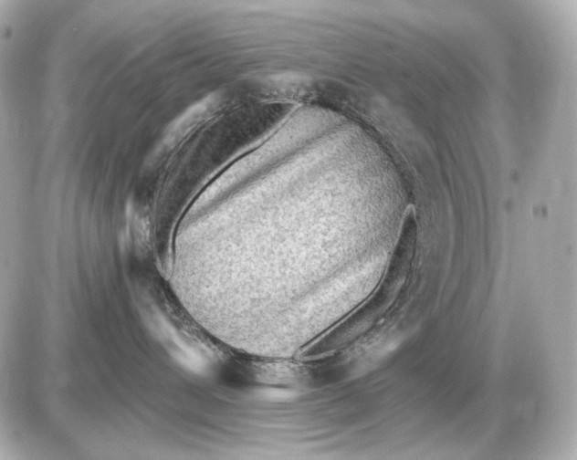 X0000087550432200705112126