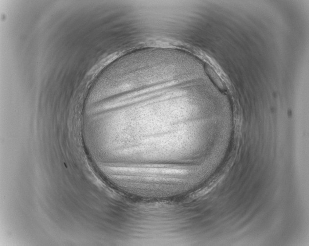 X0000087550433200705112125