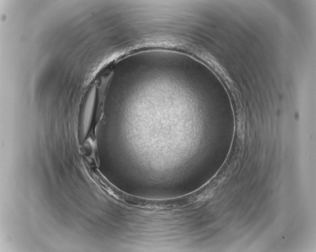 X0000087550434200705112125