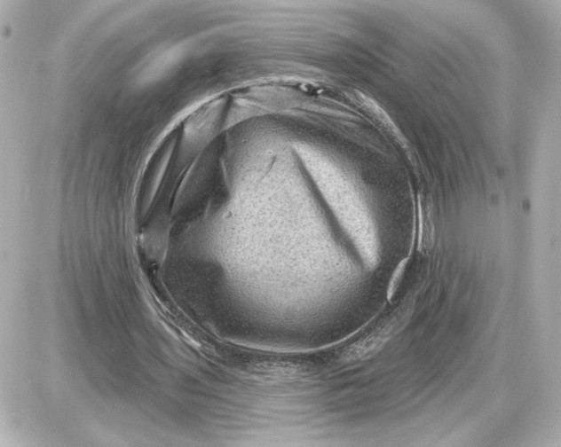 X0000087550435200705112125