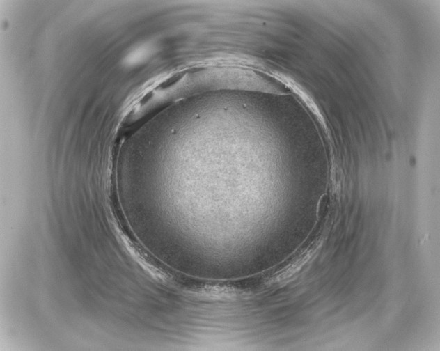 X0000087550437200705112125