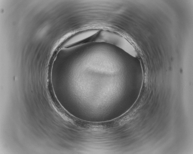 X0000087550438200705112125