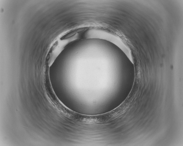 X0000087550440200705112125