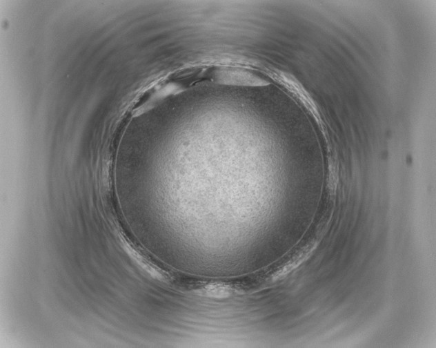 X0000087550441200705112125