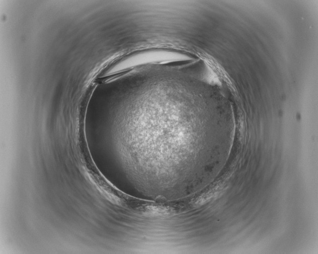 X0000087550442200705112125