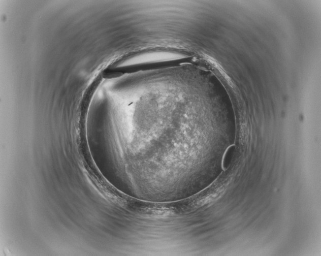 X0000087550443200705112125