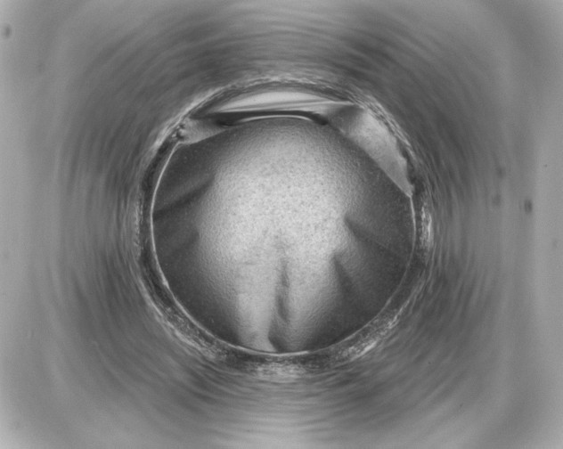 X0000087550444200705112125