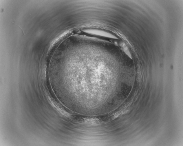 X0000087550446200705112125