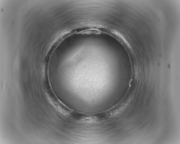 X0000087550447200705112125