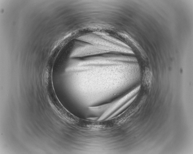 X0000087550448200705112125