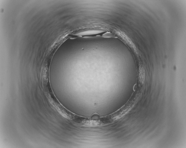 X0000087550449200705112125