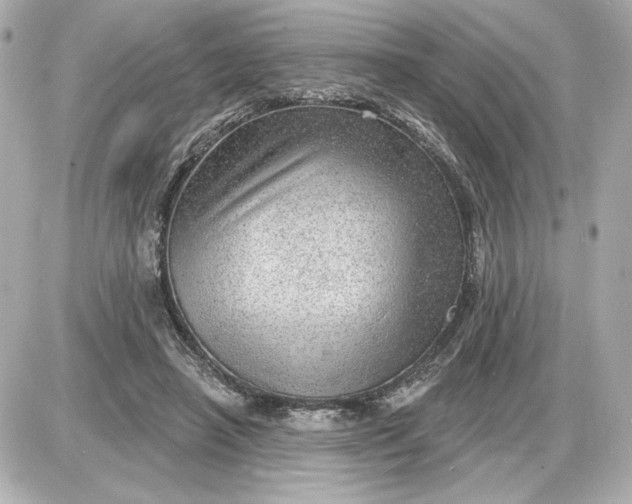 X0000087550450200705112125