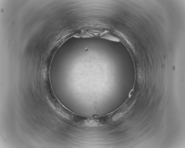 X0000087550451200705112125