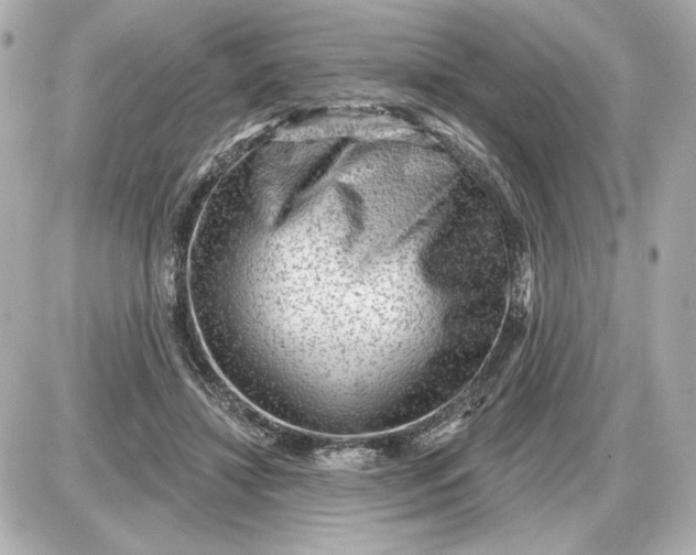 X0000087550452200705112125