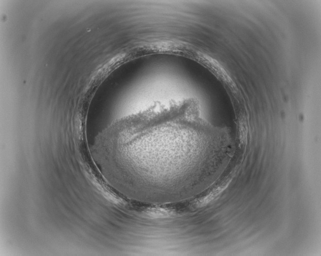 X0000087550453200705112125