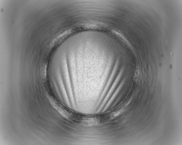 X0000087550454200705112125