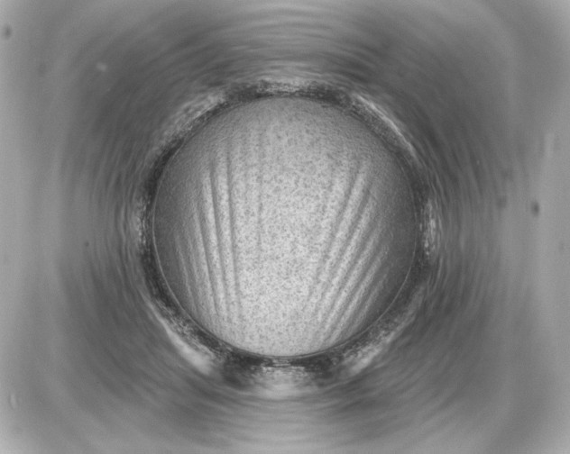 X0000087550455200705112125