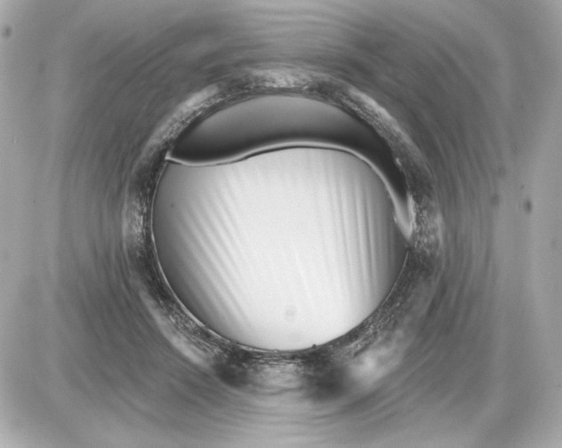 X0000087550456200705112126