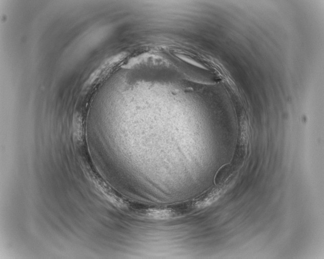 X0000087550457200705112126