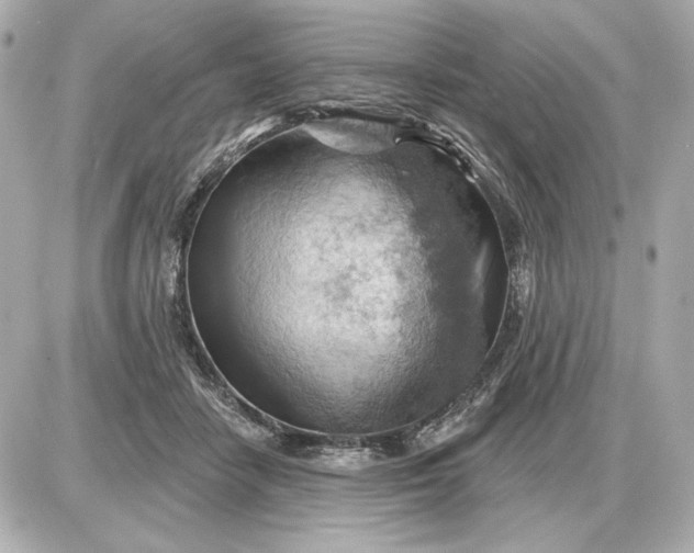 X0000087550458200705112126