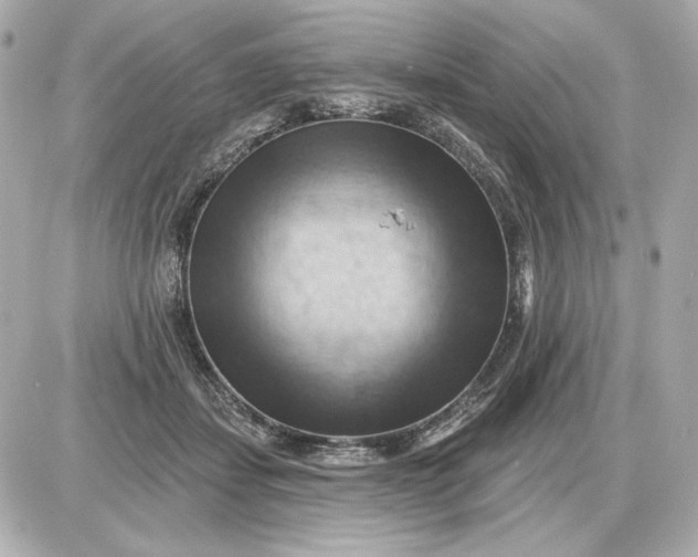 X0000087550459200705112126