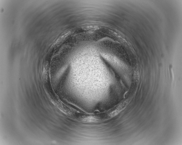 X0000087550460200705112126