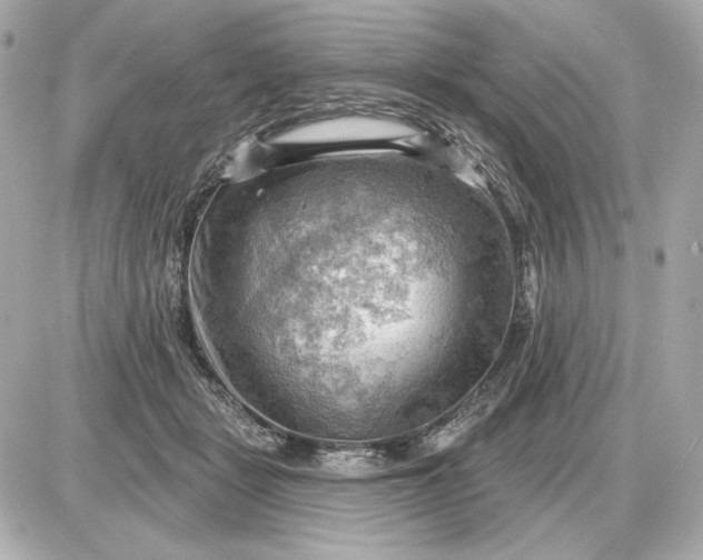 X0000087550461200705112126