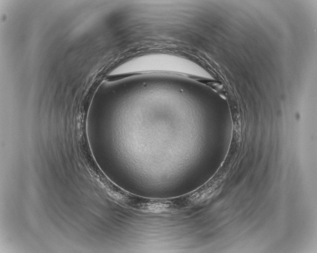 X0000087550462200705112126