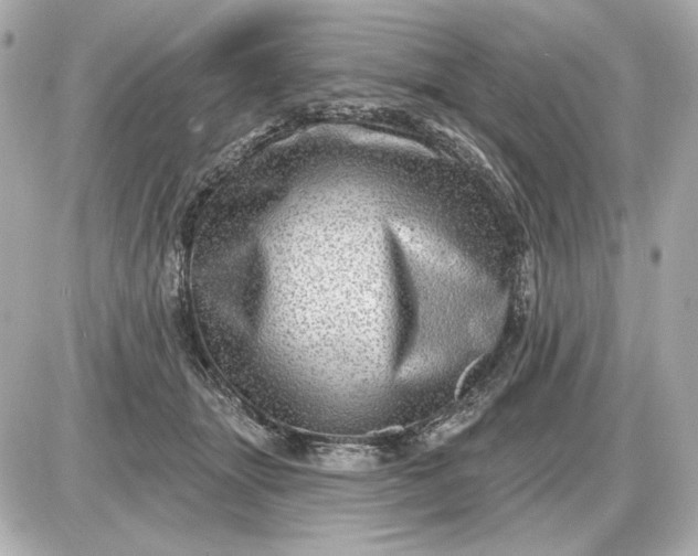 X0000087550463200705112126