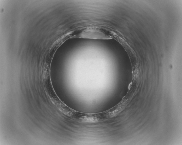 X0000087550464200705112126