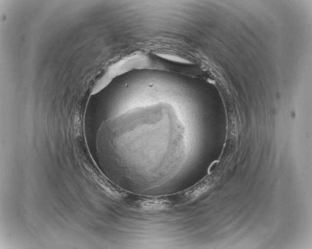 X0000087550465200705112126