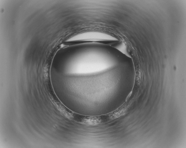 X0000087550466200705112126