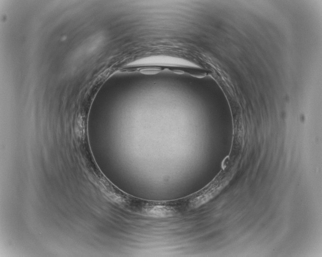 X0000087550467200705112126